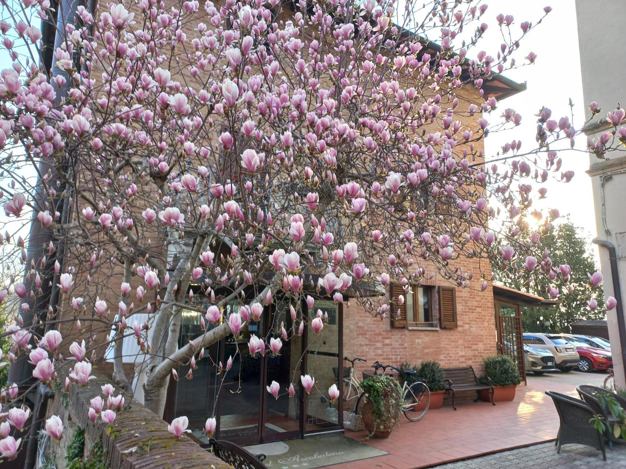 Hotel Arcobaleno Siena Luaran gambar